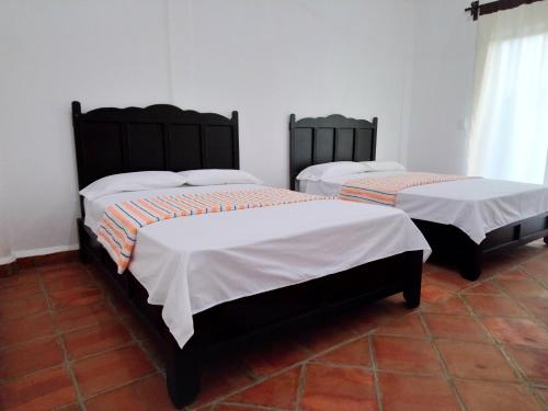 Hotel Tiktaalik – Puerto Escondido, LA