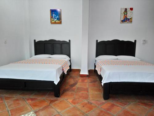 Hotel Tiktaalik – Puerto Escondido, LA