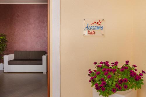 Bed&Breakfast Acasamia – San Vito Lo Capo, CA