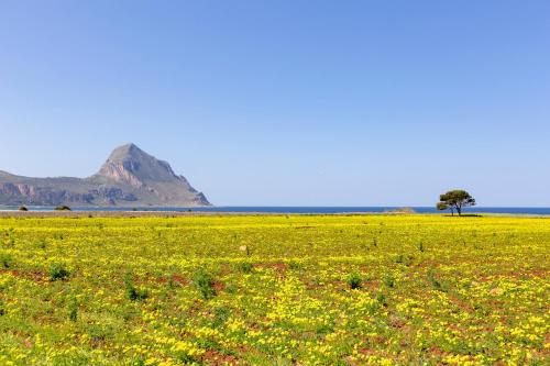 Bed&Breakfast Acasamia – San Vito Lo Capo, CA
