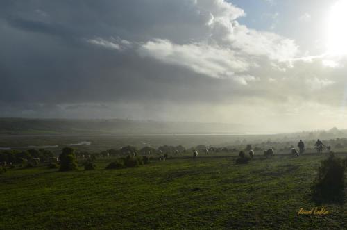 Villa Tishka Villa Tishka