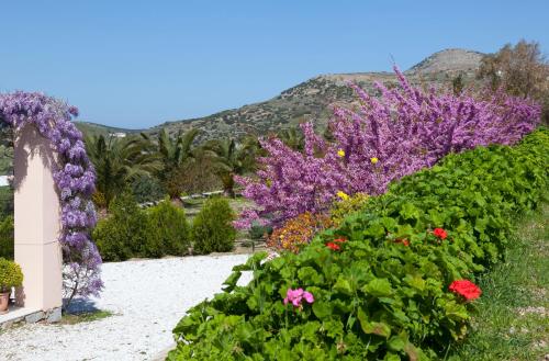 Villa Casa Del Sol Syros