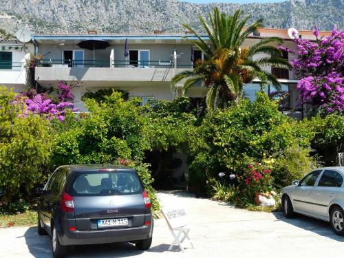  Apartments Dragana in Drvenik