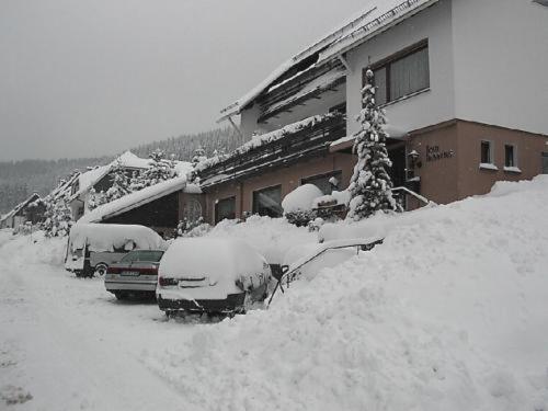 Haus Hubertus - image 2