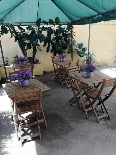 Cerasella B&B – Naples, CO