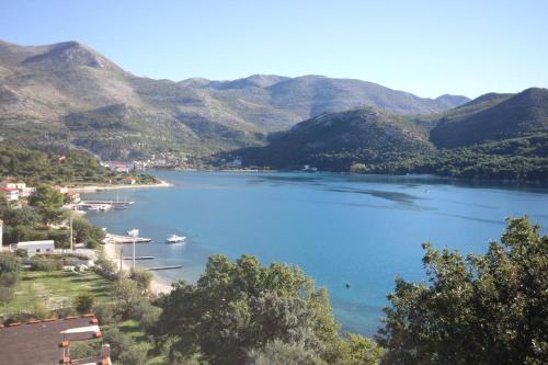 Apartments and rooms by the sea Slano Dubrovnik - 2681 - image 8