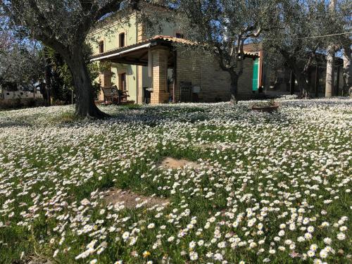 Agriturismo Villa Vetiche 3