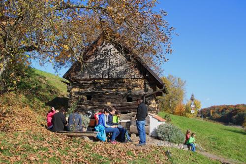 Hotel Domittner - image 11