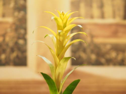 Hotel Santa Croce - image 8