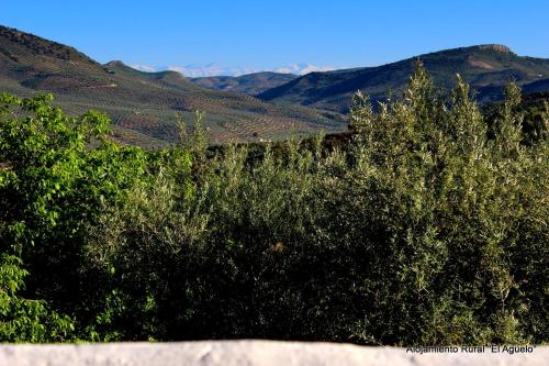 Alojamiento rural El Agüelo