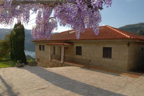  Casa no Douro - Quinta de Pias in Espadanedo