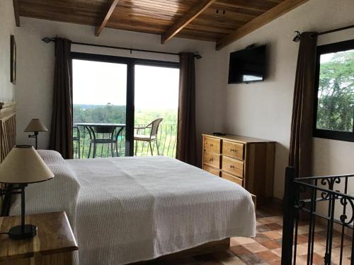 The 11 Best Hotels in Cahuita, Costa Rica: All Budgets