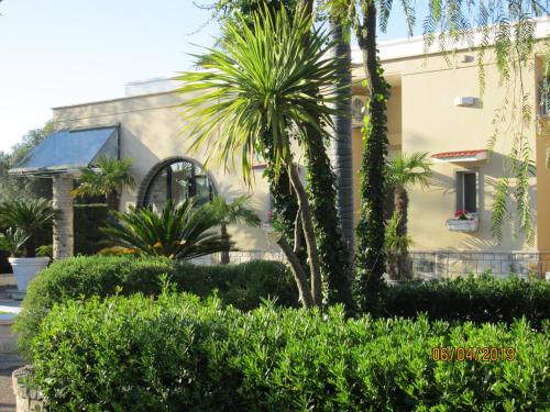 Hotel Tropical - image 3