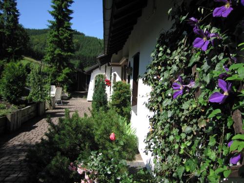 Ferienwohnung Bücker - image 2