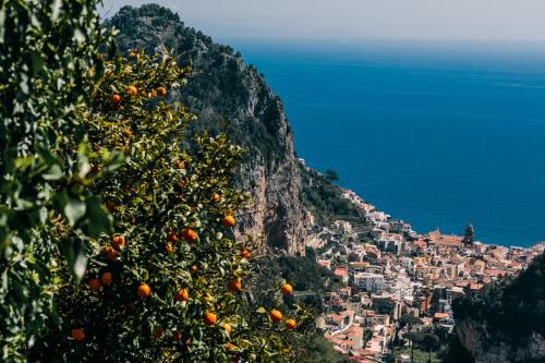 Nearby attraction, Lemon in the Air in Scala