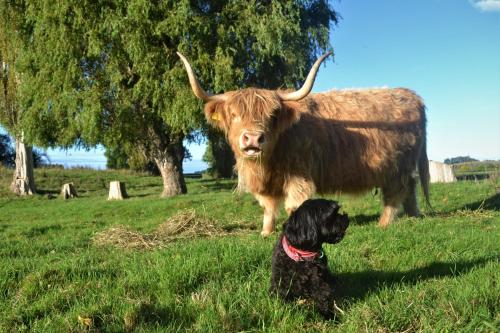 Highlands on Homestead Oamaru