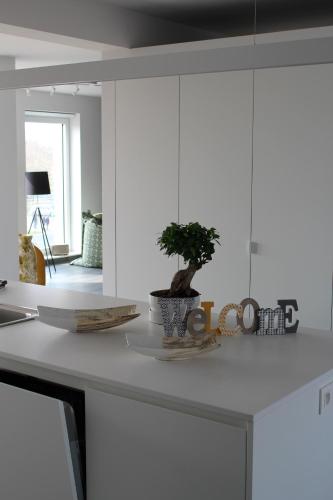 B2B Luxury Apartments - image 14