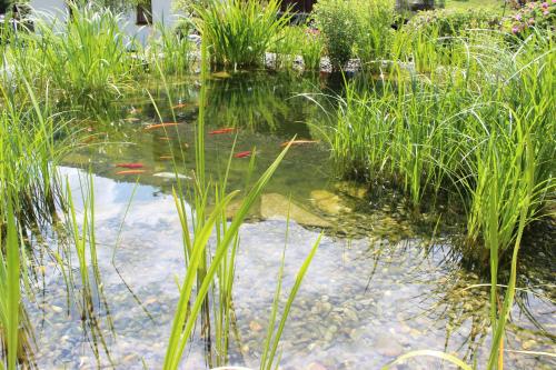 Bäckerei Schranz Bäckerei Schranz