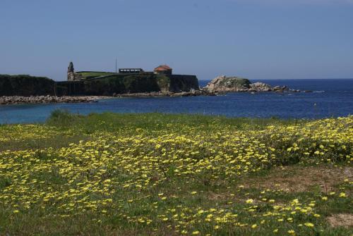 Hotel Pipo - image 11