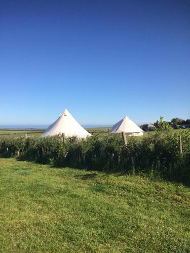Flamborough Glamping Bell Tents 2