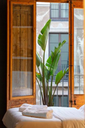 Hostal Sol y K - image 9