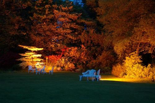 Cashel House Hotel - image 10