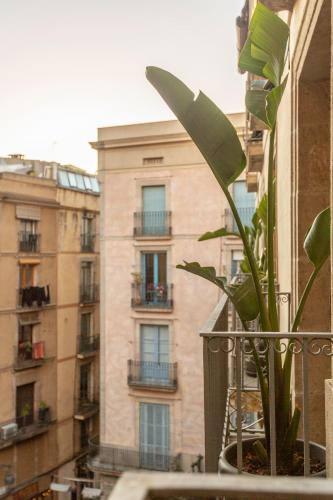 Hostal Sol y K - image 10