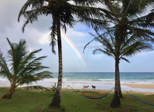 Treehouse Apartment at La Lodge at Long Bay in Corn Island