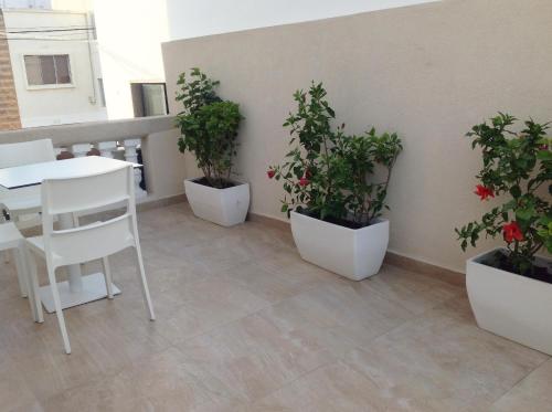 8villa - image 5