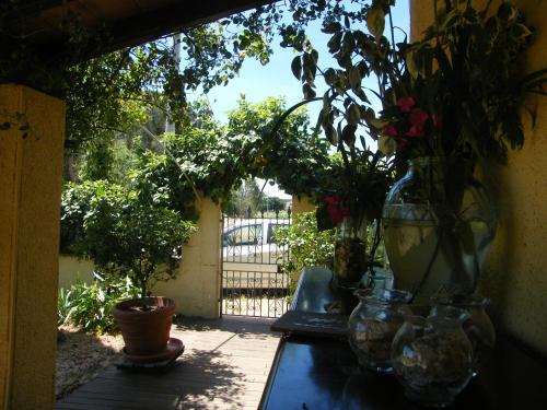 Casolare casa Ricci - image 2