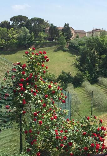  San Rocco Cottage in San Rocco a Pilli