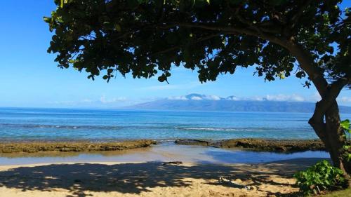 Lahaina Luxury Condos - main image