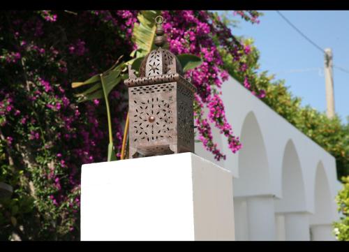 Residencia El Chupito - image 11