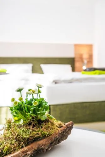Hotel-Pension Treppengasse Nr 6 in Altenburg, Deutschland
