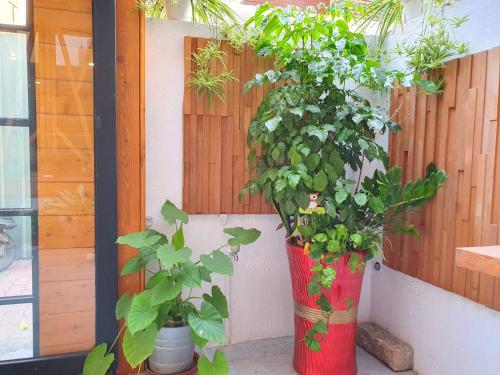Honey House Tainan - 출입구