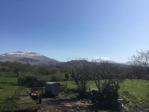 Tyddyn Perthi Farm