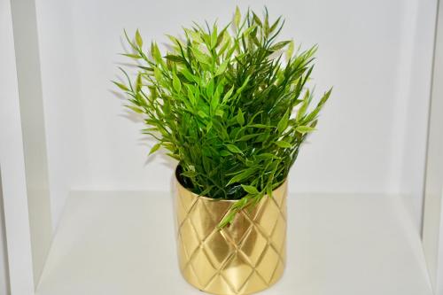 MH Apartment in 柯尼希斯布倫