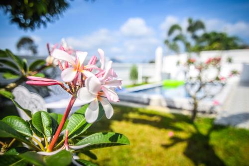 Bangsaray Chuan Chom Pool Villa Bangsaray Chuan Chom Pool Villa