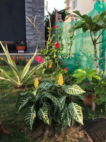 Good Nest Homestay - 정원