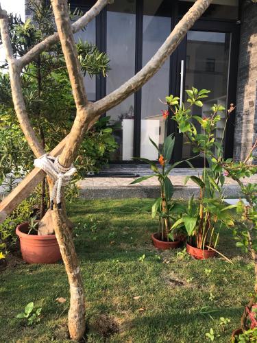 Good Nest Homestay - 출입구