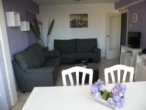 Eden Park II - Fincas Arena - image 7