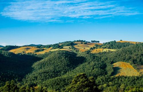 Poggio Al Vento