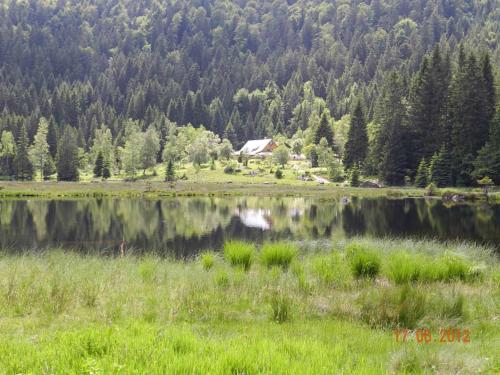 สภาพแวดล้อมโดยรอบ, Gästehaus Schmalzreich (Gastehaus Schmalzreich) in ลาม