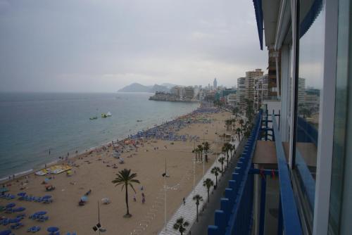 Las Palmeras III- Fincas Arena - image 13