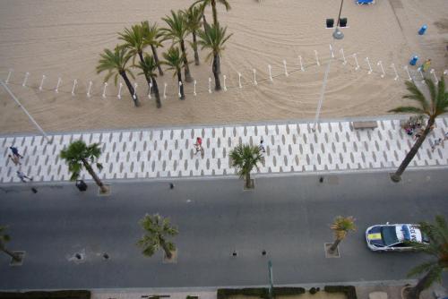 Las Palmeras III- Fincas Arena - main image