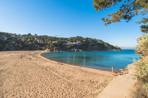 SR-41 BEGUR SA RIERA 8PAX - image 10