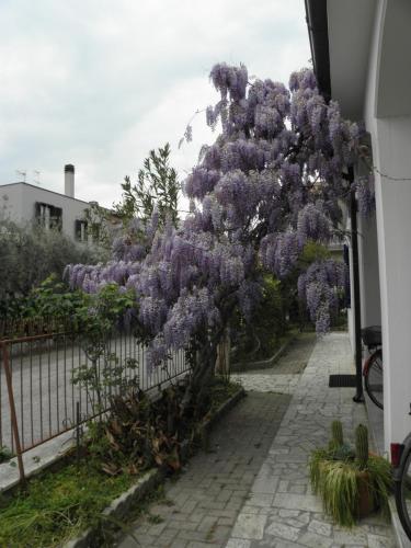 La Suite Di Rita - image 11