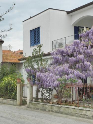  RITA'S ROOM ON THE SEA, Pension in Giulianova bei Mosciano SantʼAngelo