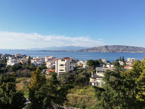  Salamina's apartment, Pension in Aiándion bei Pákhi