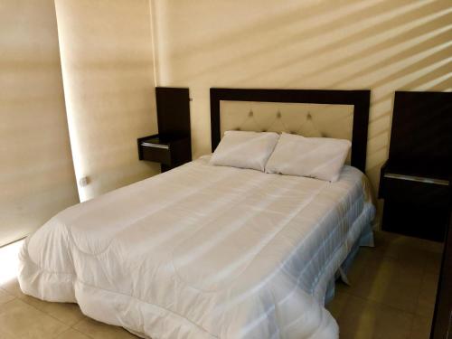 Departamento Centrico C/ Asador Propio